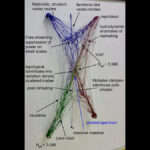 Schematic diagram of neutrino cosmology and relic particles in Lava-Void Cosmology, depicting decoupled free-streaming fermionic-like vortex excitations emerging from multifractal turbulent spectrum in a unified relativistic viscous fluid, with labels for N_eff ≈ 3.046, free-streaming power suppression, and contributions to radiation density and clustered matter
